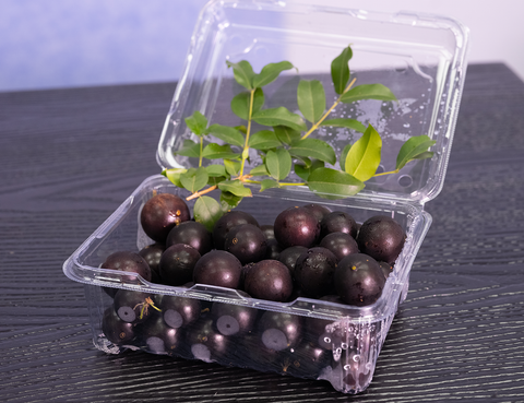 野生樹葡萄　只限17-24號現場自取