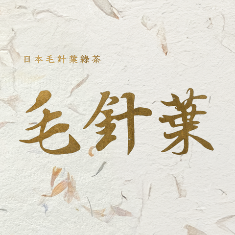 日本毛針葉綠茶